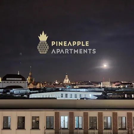 Pineapple Apartments Dresden Zwinger V - 78 Qm - 1X Free Parking Eksteriør billede